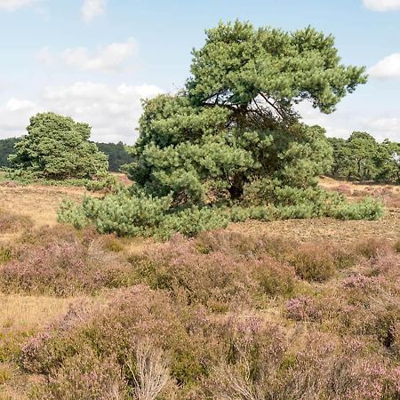 Heerlijke Vakantiewoning Veluwse Bossen Putten Extérieur photo