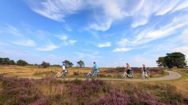 Heerlijke Vakantiewoning Veluwse Bossen Putten Extérieur photo