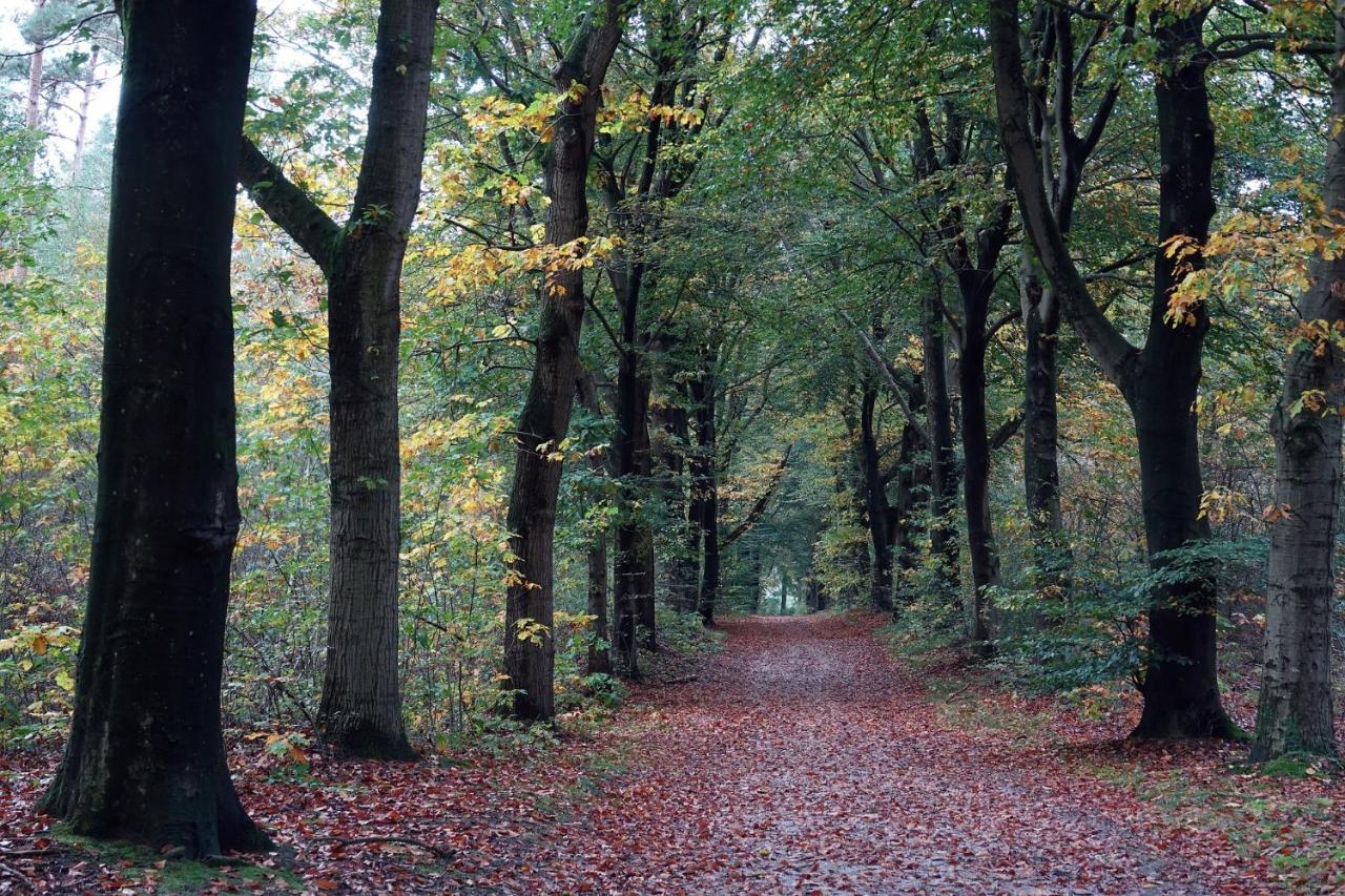 Heerlijke Vakantiewoning Veluwse Bossen Putten Extérieur photo